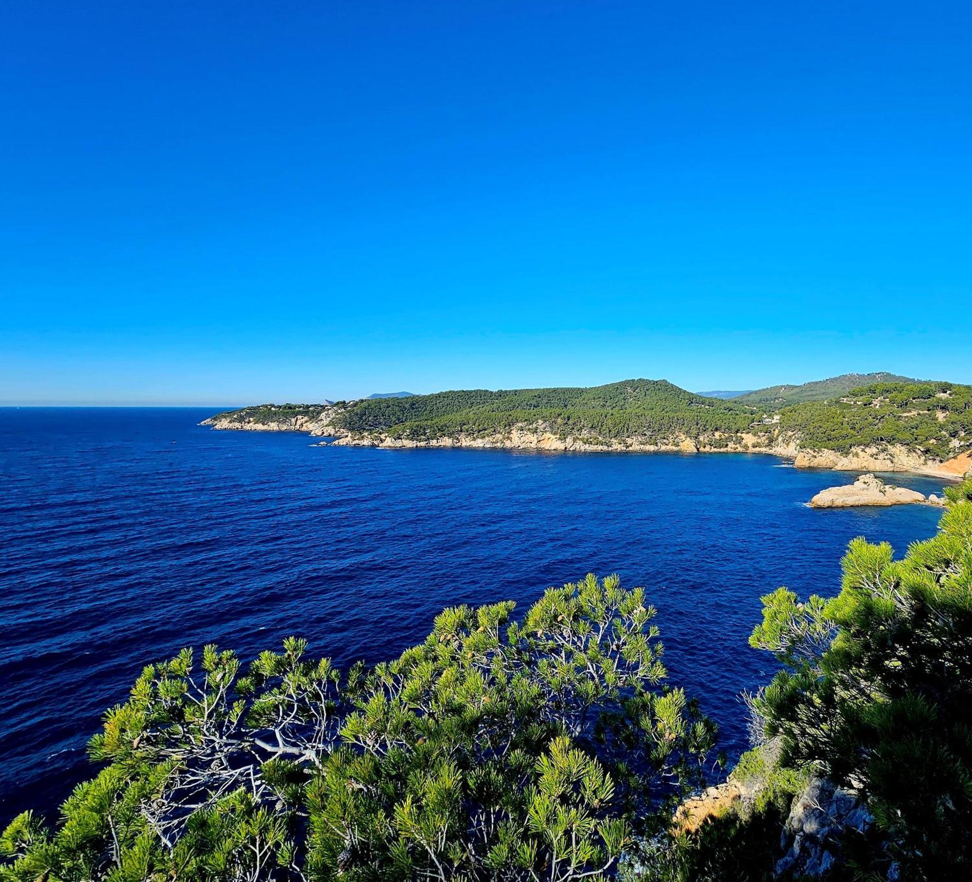 Superbe Appartement Dans Cadre D'Exception - Piscine, Plage Et Tennis Prive Bandol Exterior photo